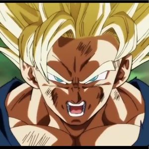 Meet your Posher, Carter